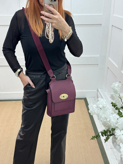Sasha: Burgundy cross body satchel bag