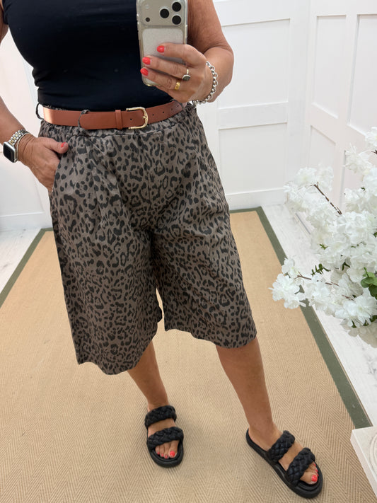 Leah: Leopard print bermuda knee length shorts. One size: 10-16. 3 colours