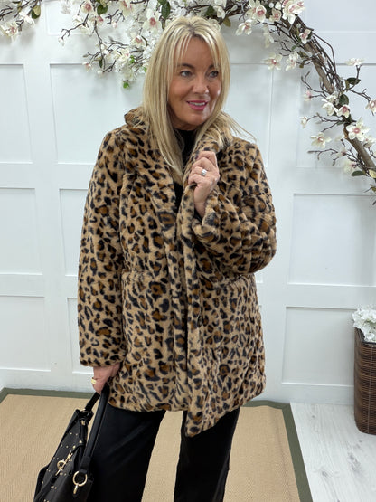 Leighton: Leopard print teddy bear coat. 3 sizes