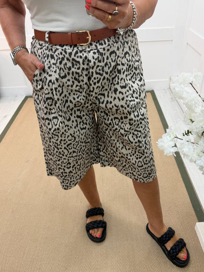 Leah: Leopard print bermuda knee length shorts. One size: 10-16. 2 colours