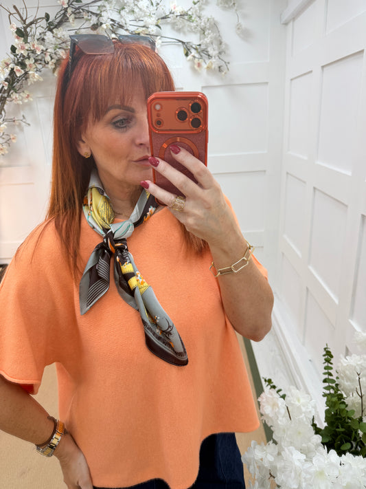 Hayley: Designer inspired print silky neck scarf.