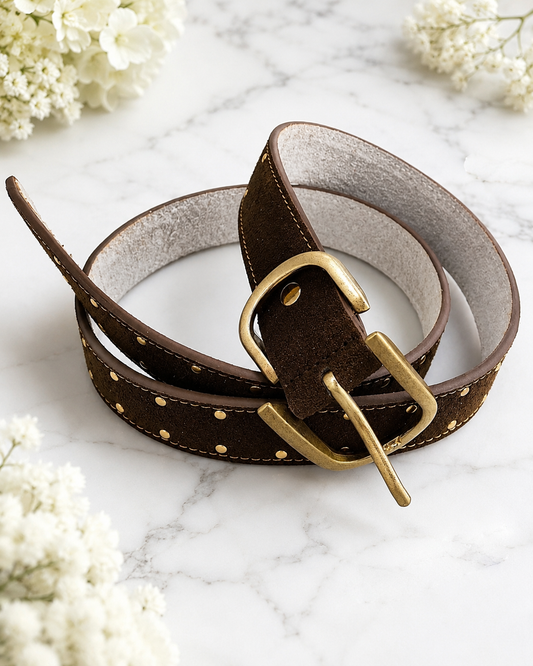 Suzi: Brown & gold faux suede belt. One size: 8-16