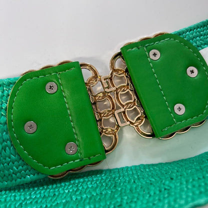 Ruthie: Stretchy raffia belt with gold buckle. One Size 10-20